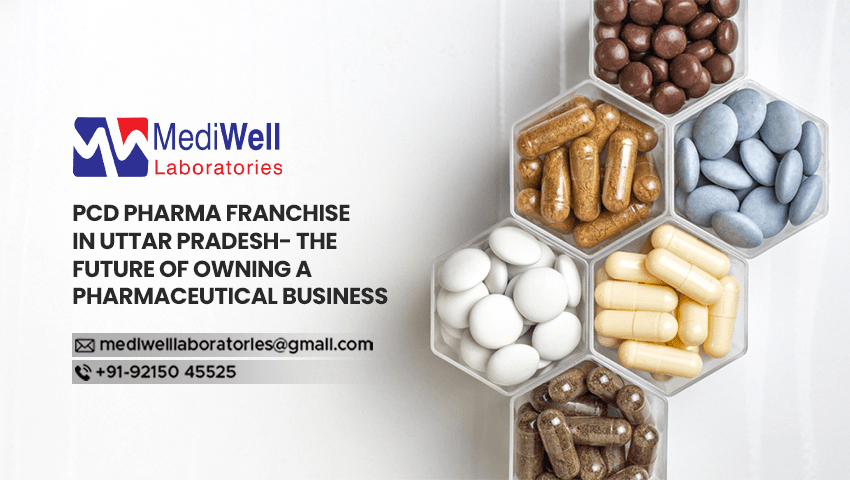 PCD Pharma Franchise In Uttar Pradesh- The Future Of Owning A Pharmaceutical Business
